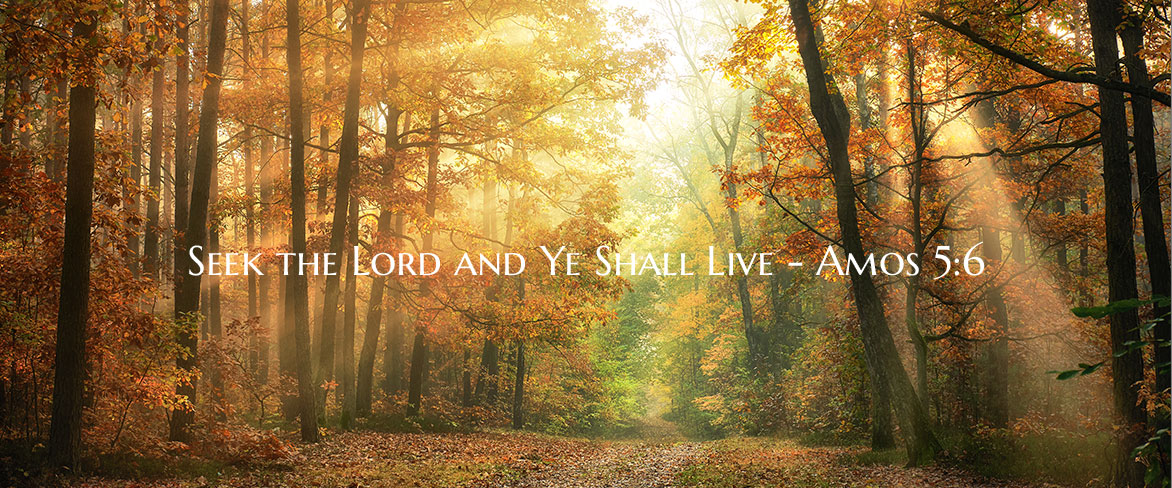 Our theme verse comes from the book of Amos, which is as relevant then as now.  Seek the LORD Jesus Christ, and ye (all of you who seek) shall (not might) live (forever).