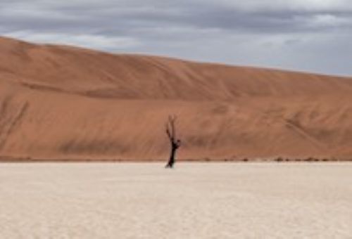 God's Solution For A Troubled Land